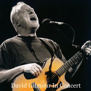 Image for 'David Gilmour in Concert'