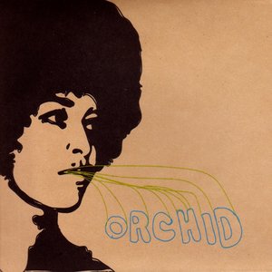 Image for 'Orchid'