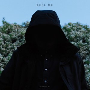 Image for 'Feel Me'