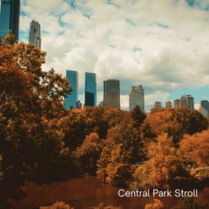 'Central Park Stroll' için resim