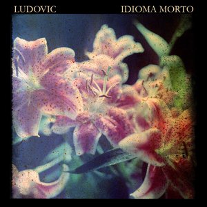 Image for 'Idioma Morto'