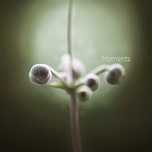 'Moments'の画像