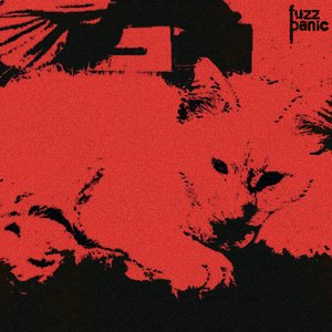 Image for 'Fuzz Panic'