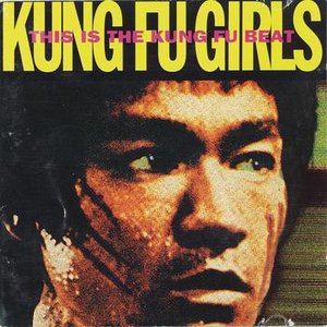 Image for 'This Is The Kung Fu Beat'