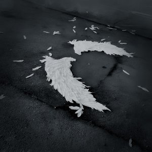 Image for 'din umbra'