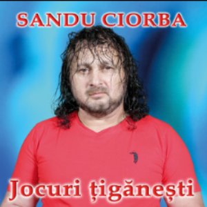 Image for 'Jocuri tiganesti'