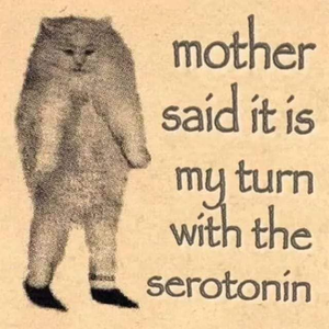 elerinortheast