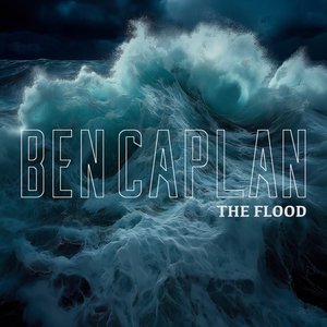 “The Flood”的封面
