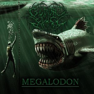 “Megalodon”的封面