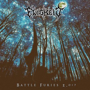 Image for 'Battle Furies 2.017'