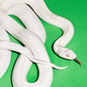 Zdjęcia dla 'private music'