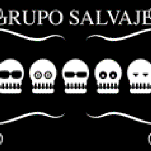 Image for 'Grupo Salvaje'