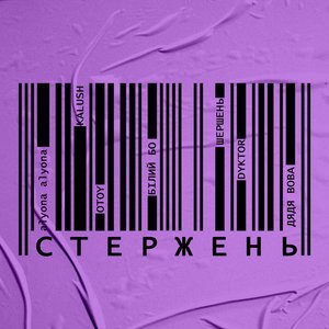 “Стержень (Own Core)”的封面