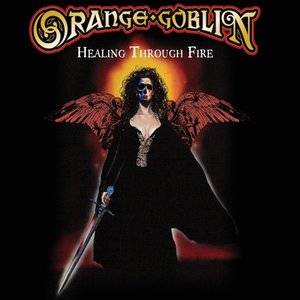 Image pour 'Healing Through Fire (Deluxe Edition)'