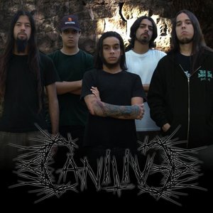 Image for 'CanilivE'