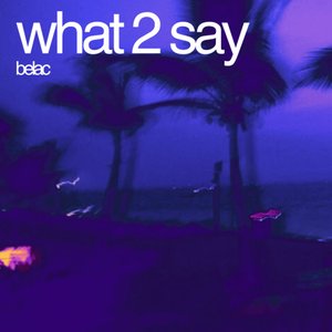 'What 2 Say'の画像