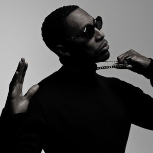 Image pour 'Raphael Saadiq'