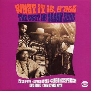 Image for 'What It Is Y'all: The Best Of Señor Soul'