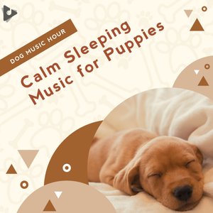 'Calm Sleeping Music for Puppies'の画像