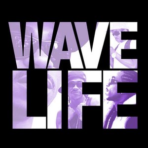 Immagine per 'The Wave Life'