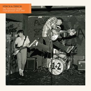 Image for 'Strum & Thrum: The American Jangle Underground 1983–1987'