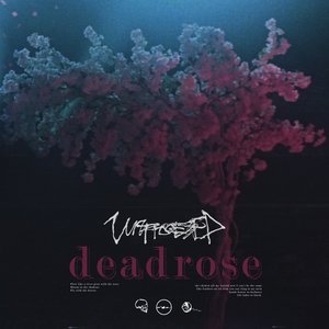 “Deadrose - Single”的封面
