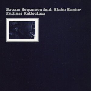 Image for 'endless reflection'