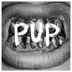 Image for 'PUP'