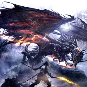 Xavorus