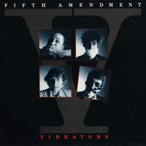 Image for 'Fifth Amendment'