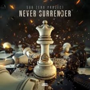 Image for 'Never Surrender'