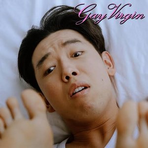 “GAY VIRGIN”的封面
