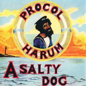 Image for 'A Salty Dog'