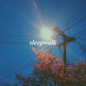 Bild für 'Sleepwalk'