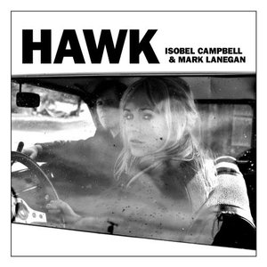 “Hawk”的封面