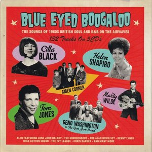 Image for 'Blue Eyed Boogaloo'