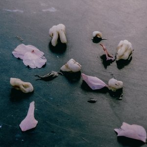 “Care”的封面