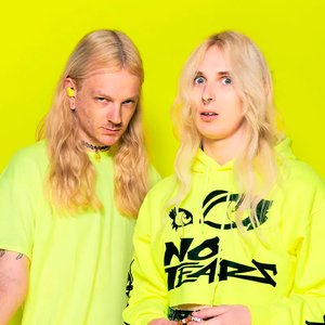 Bild für '100 gecs'