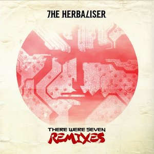 Image for 'There Were Seven Remixes'