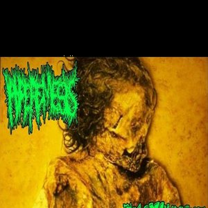 Image for 'AGATHOCLES SPLIT OFFICIAL'