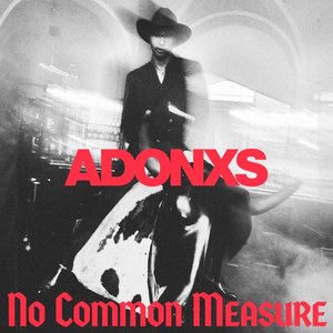 Image for 'No Common Measure'