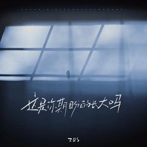 “这是你期盼的长大吗”的封面