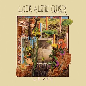 “Look A Little Closer”的封面