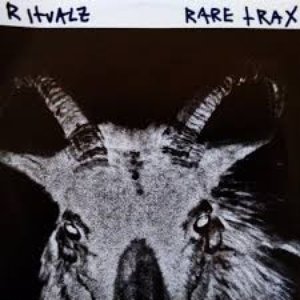 Image for 'RARE TRAX'