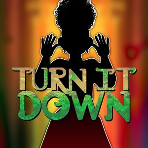 Image for 'Turn It Down'