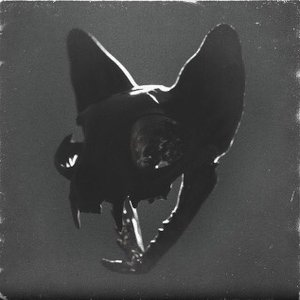 Image for 'These Nights'