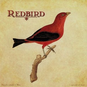 “Redbird”的封面