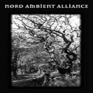 Image for 'Nord Ambient Alliance'