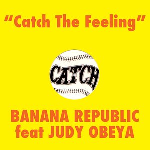 “Catch The Feeling”的封面