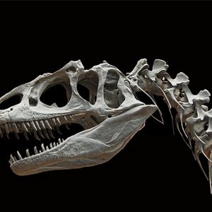 “ExtinctZoo”的封面